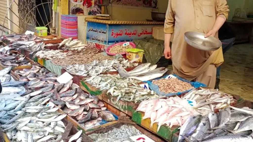 الاقتصاد