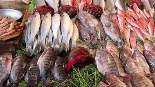 الاقتصاد