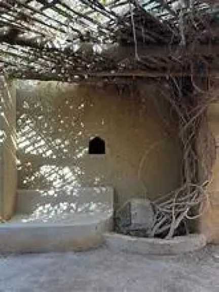 المنوعات