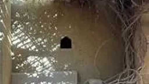 المنوعات