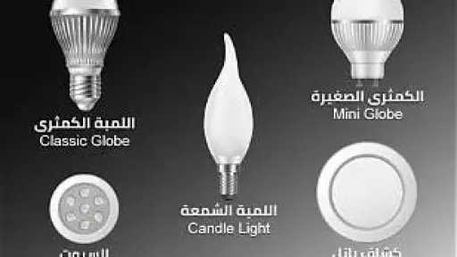 الاقتصاد