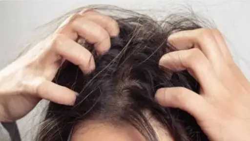 المنوعات