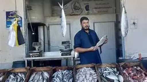 الاقتصاد