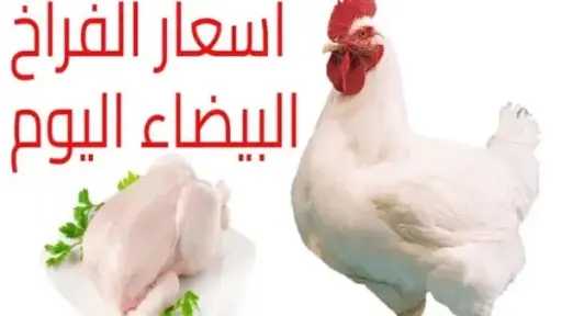 الاقتصاد