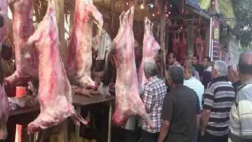 الاقتصاد