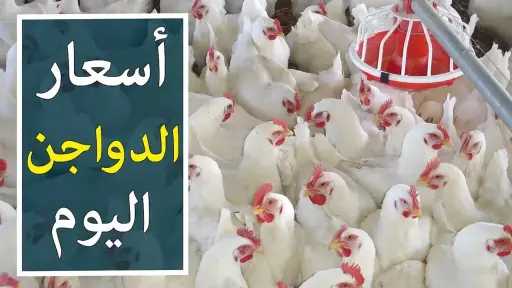 الاقتصاد