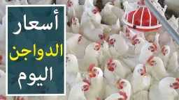 الاقتصاد