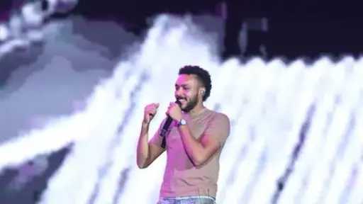 الفنون